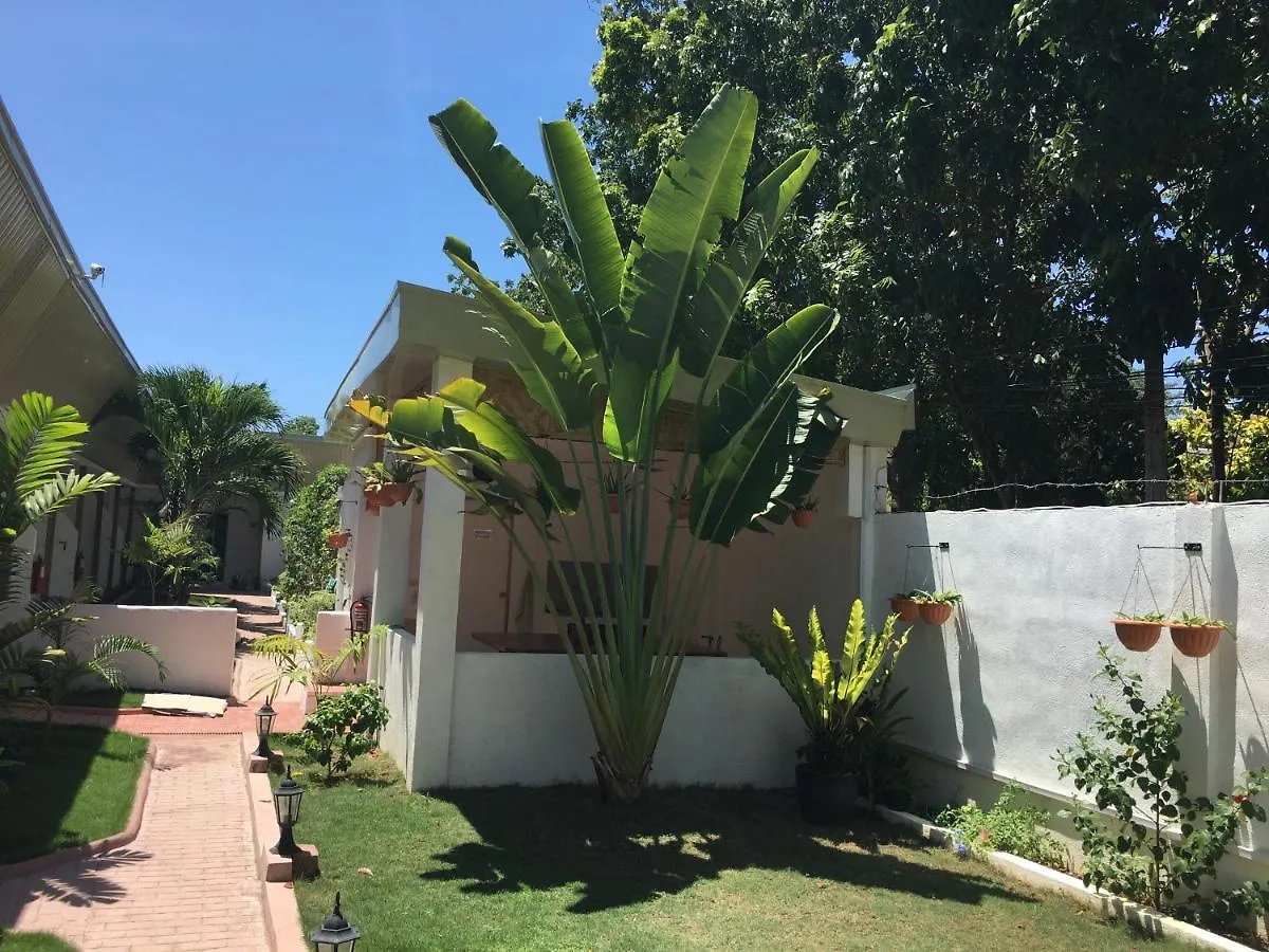 ** Guest house Alona Gecko Inn Panglao Philippines
