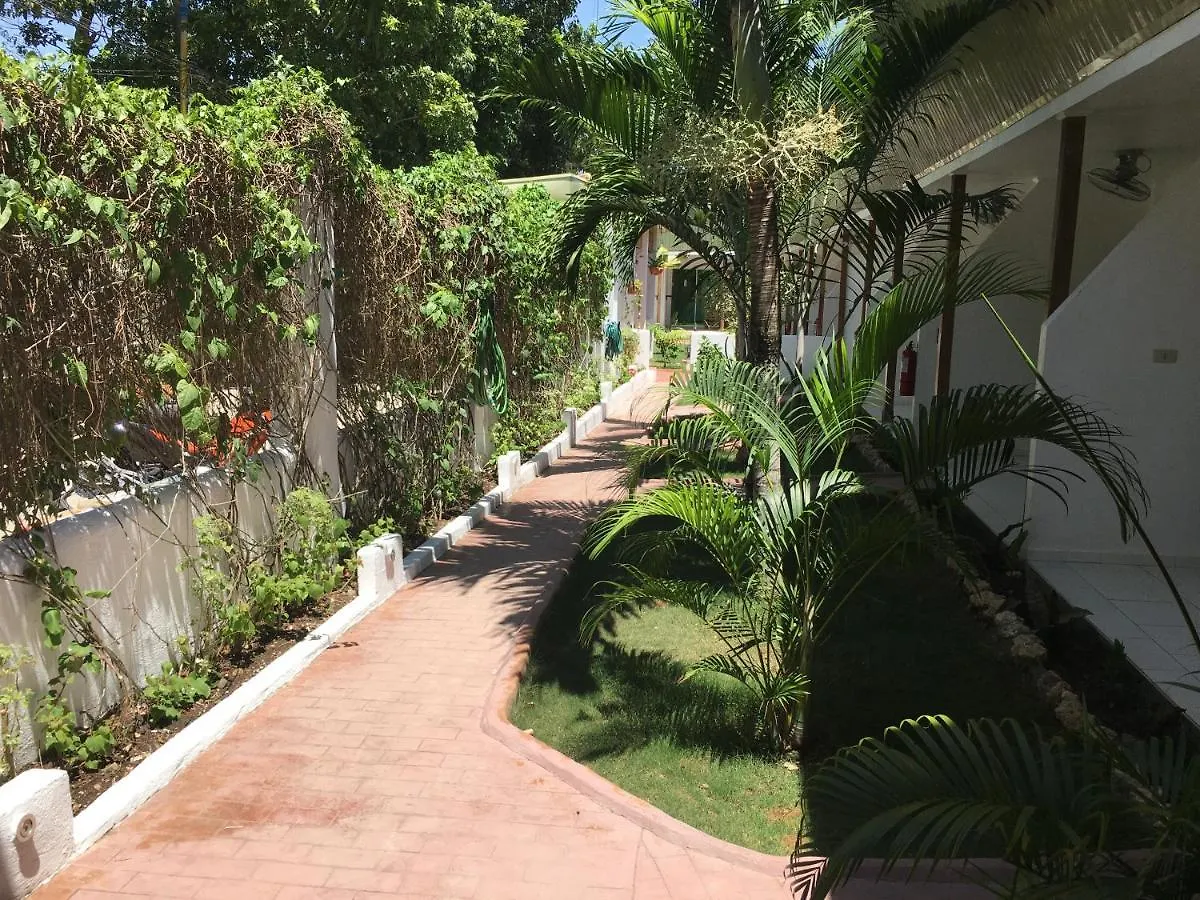 Alona Gecko Inn Panglao 2*,