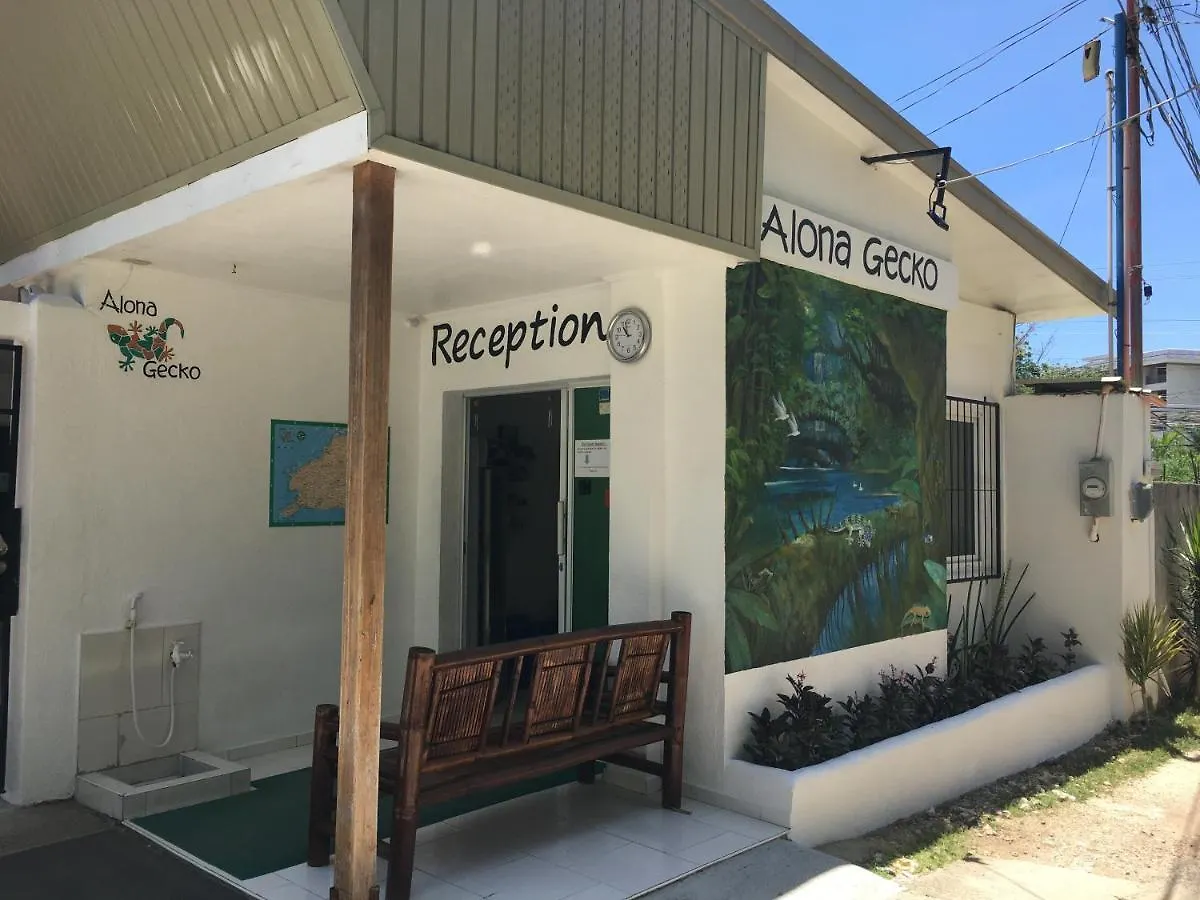 Alona Gecko Inn Panglao Guest house