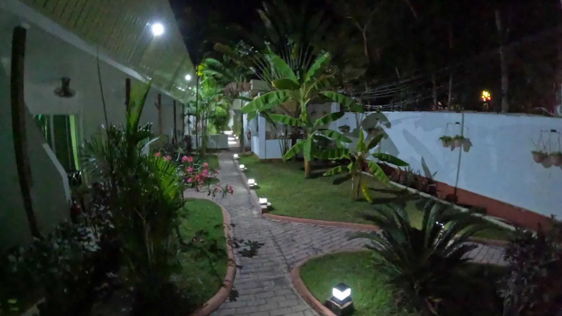 Alona Gecko Inn Panglao Philippines
