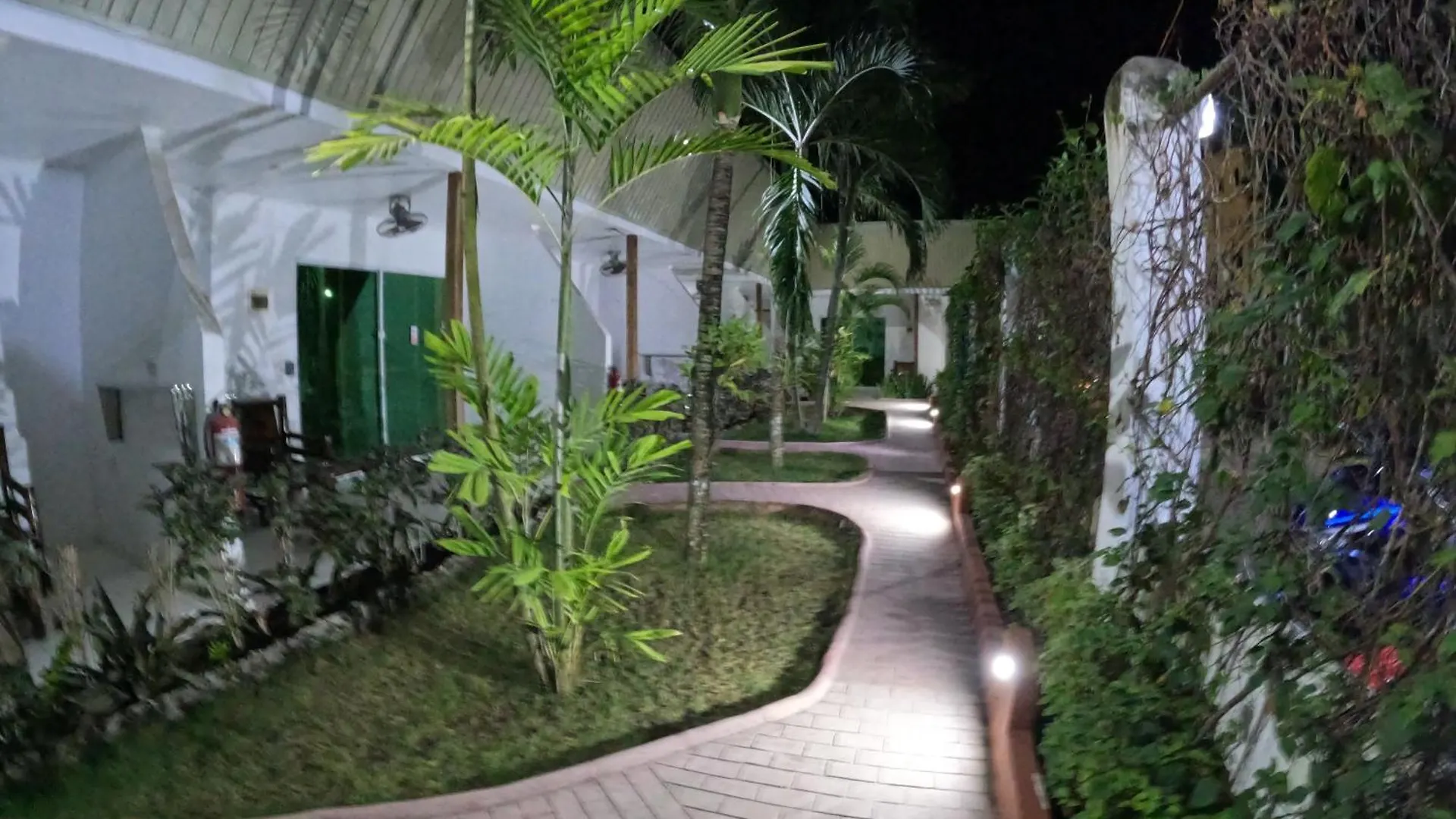 Alona Gecko Inn Panglao Guest house