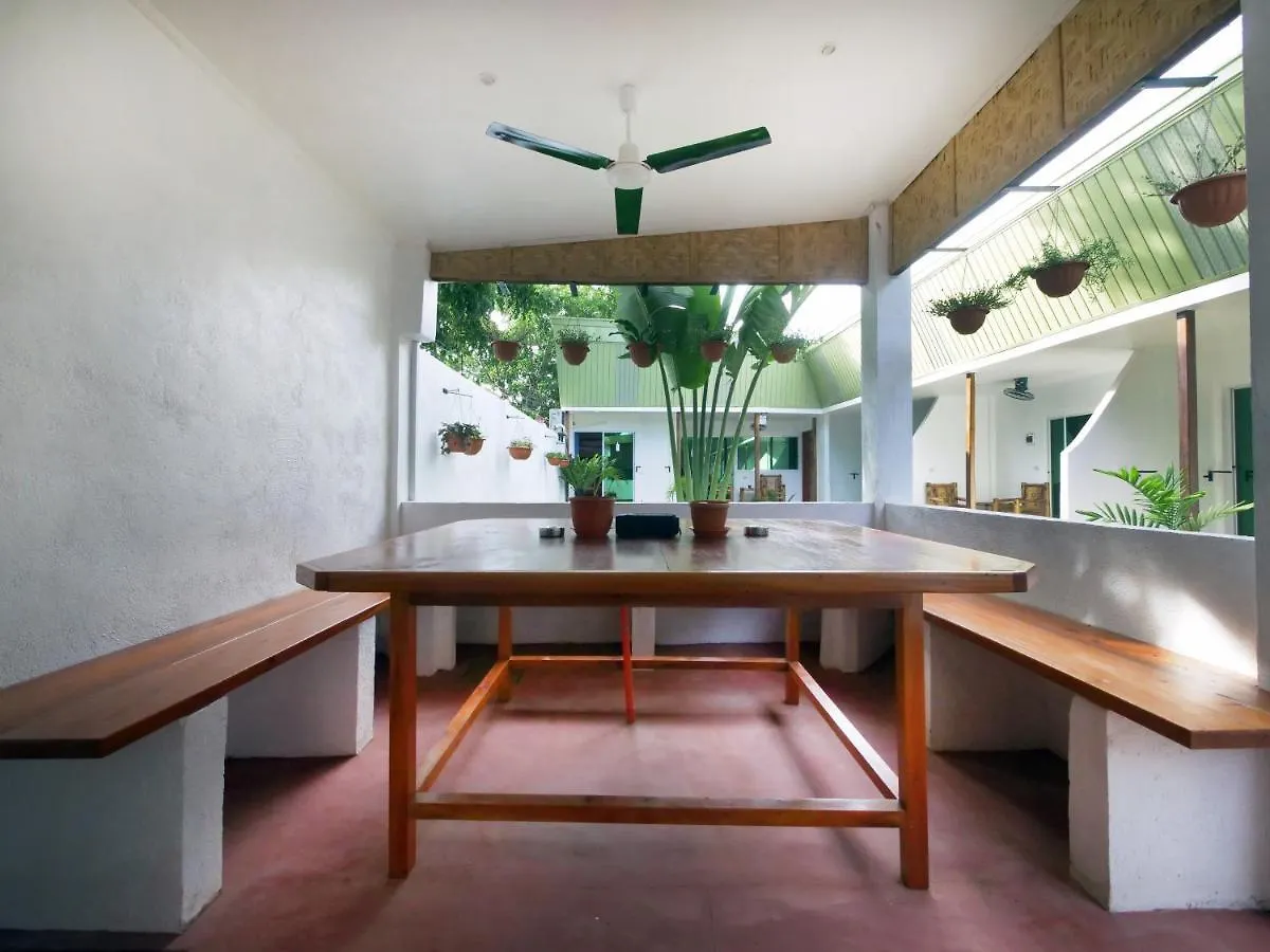 Alona Gecko Inn Panglao Guest house