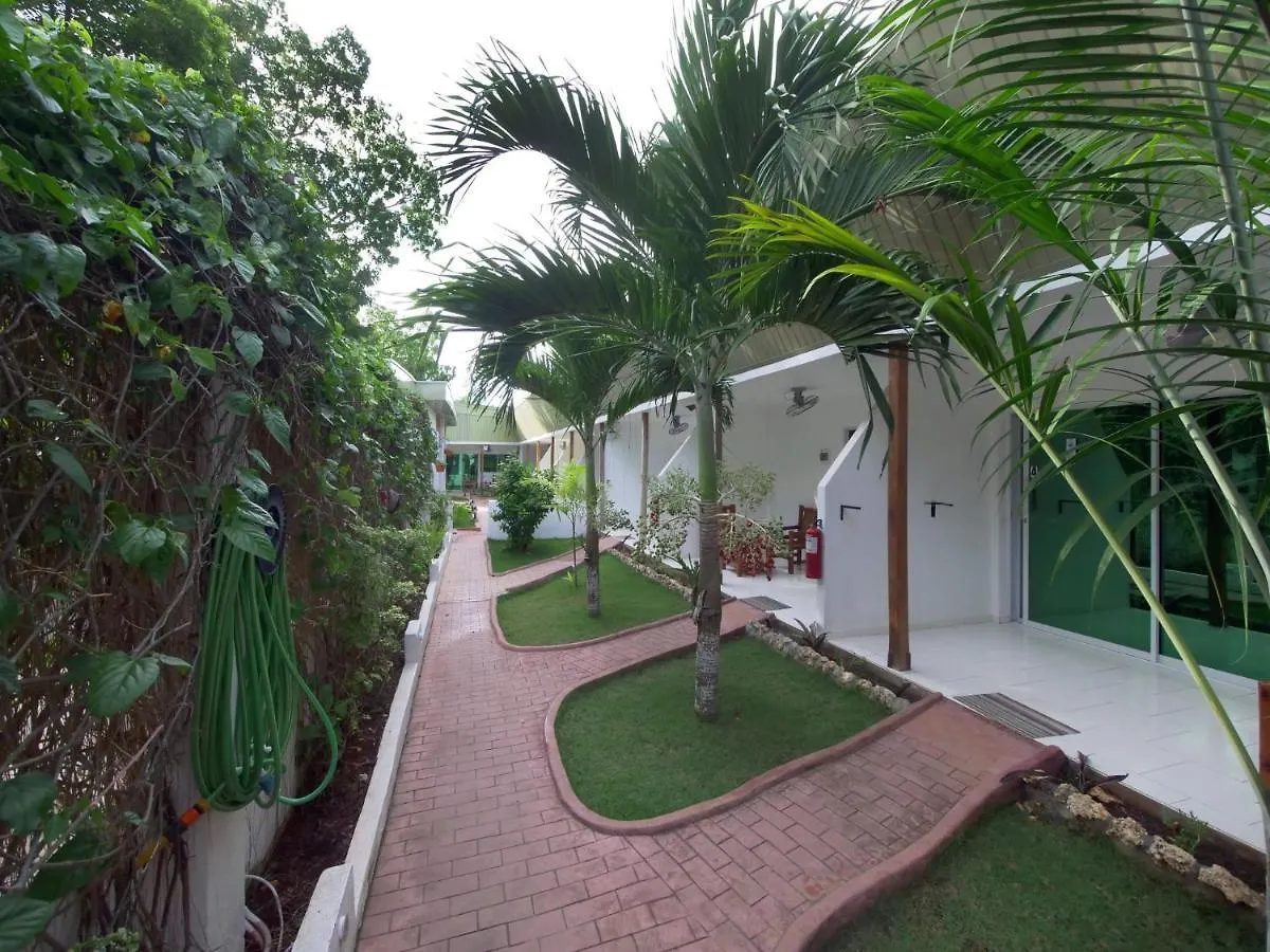 Alona Gecko Inn Panglao