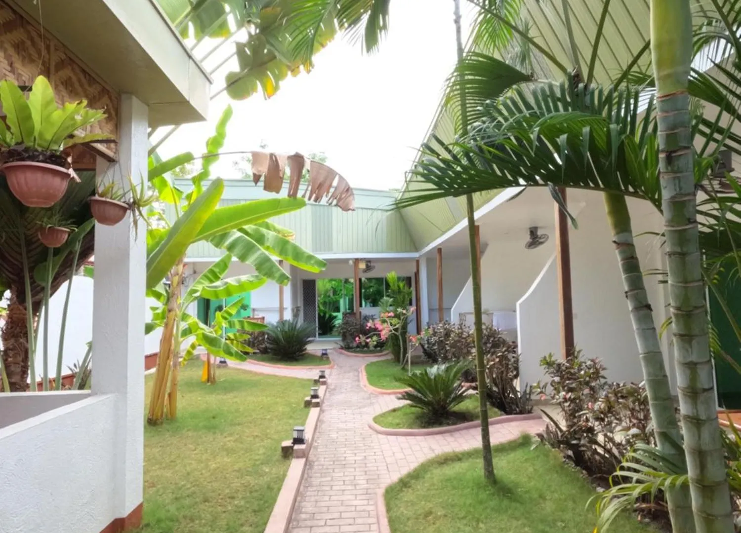 Alona Gecko Inn Panglao Philippinen
